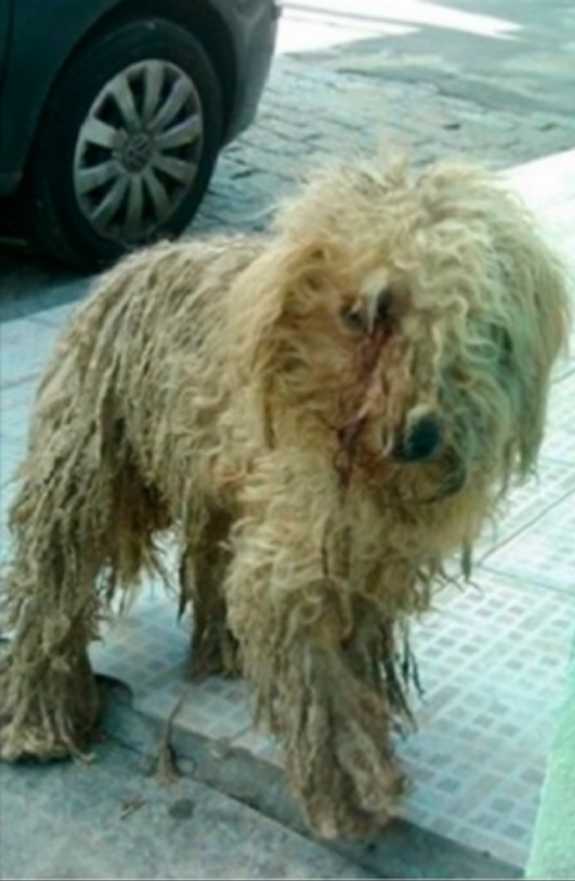 Thor antes do resgate